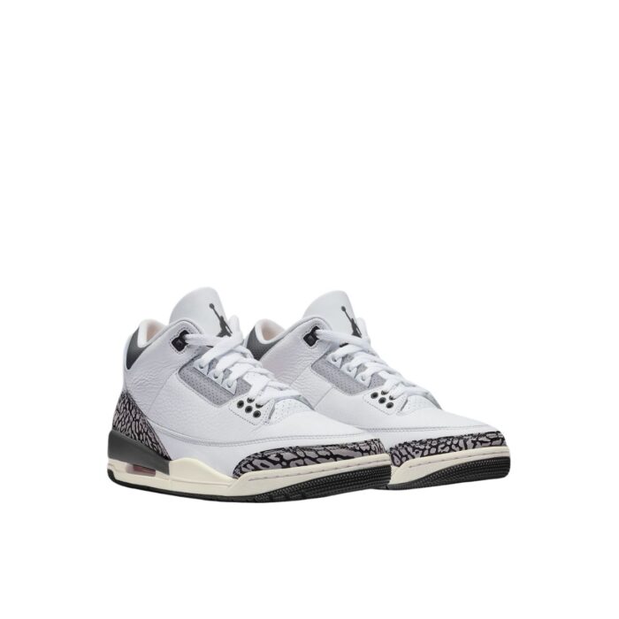 NIKE AIR JORDAN 3 RETRO HIDE N SNEAK DX6665 100