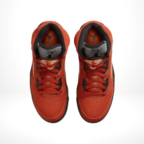 Top-down view of the Air Jordan 5