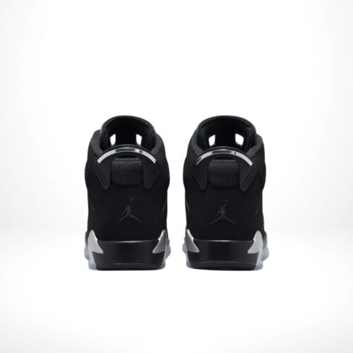 Rear view of the Air Jordan 6