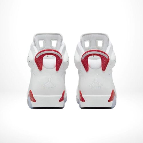 Rear view of the Air Jordan 6