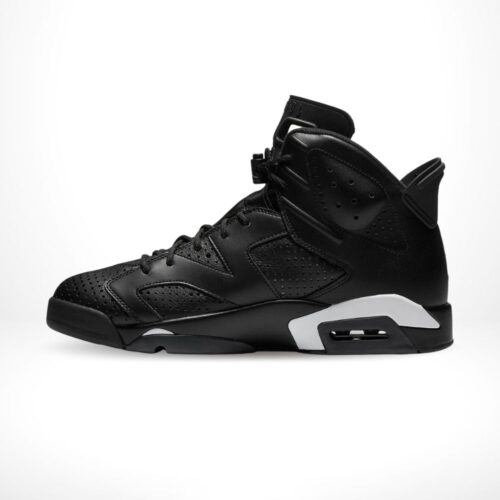 Medial side view of the Air Jordan 6