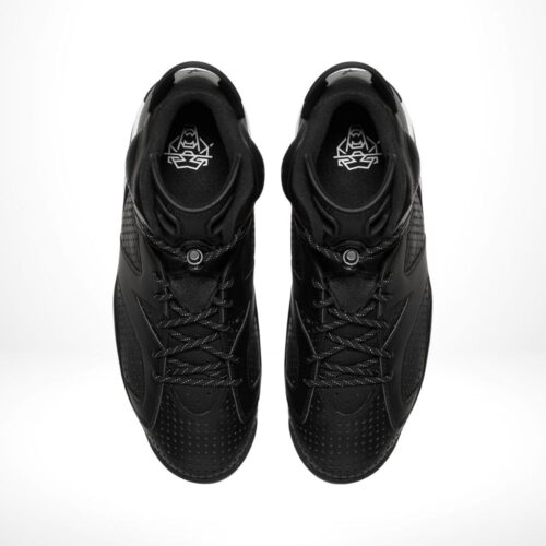 Top-down view of the Air Jordan 6