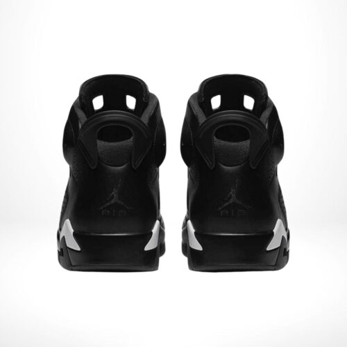 Rear view of the Air Jordan 6