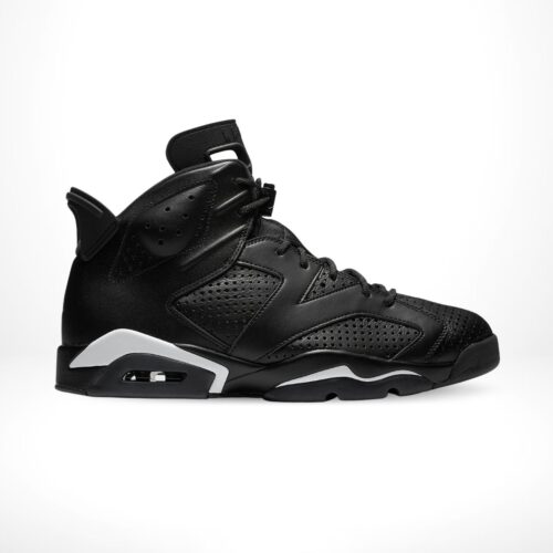Side view of the Air Jordan 6