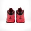 Rear view of the Air Jordan 10