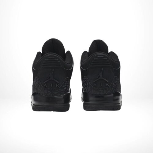 Rear view of the Air Jordan 3