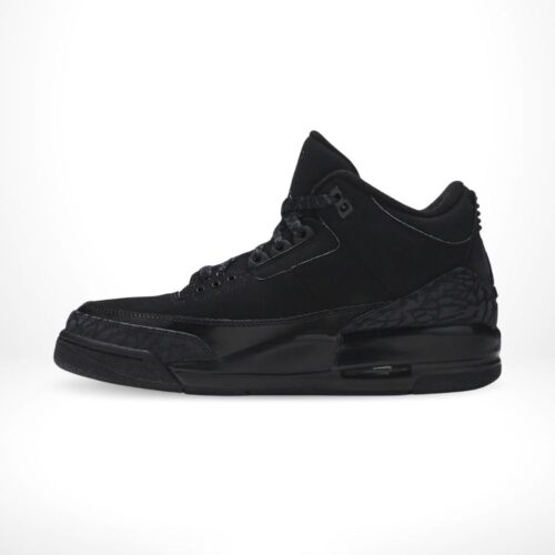 Medial side view of the Air Jordan 3