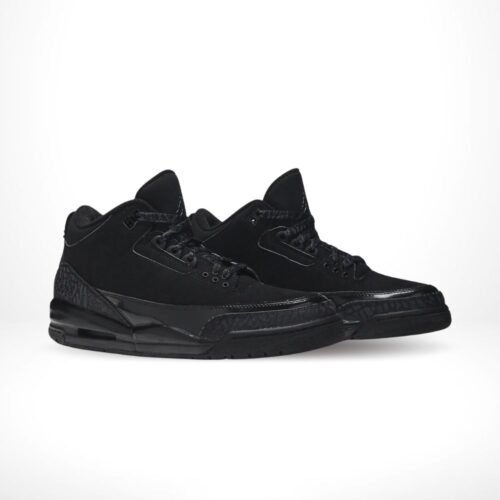 Angled front view of a full pair of Air Jordan 3