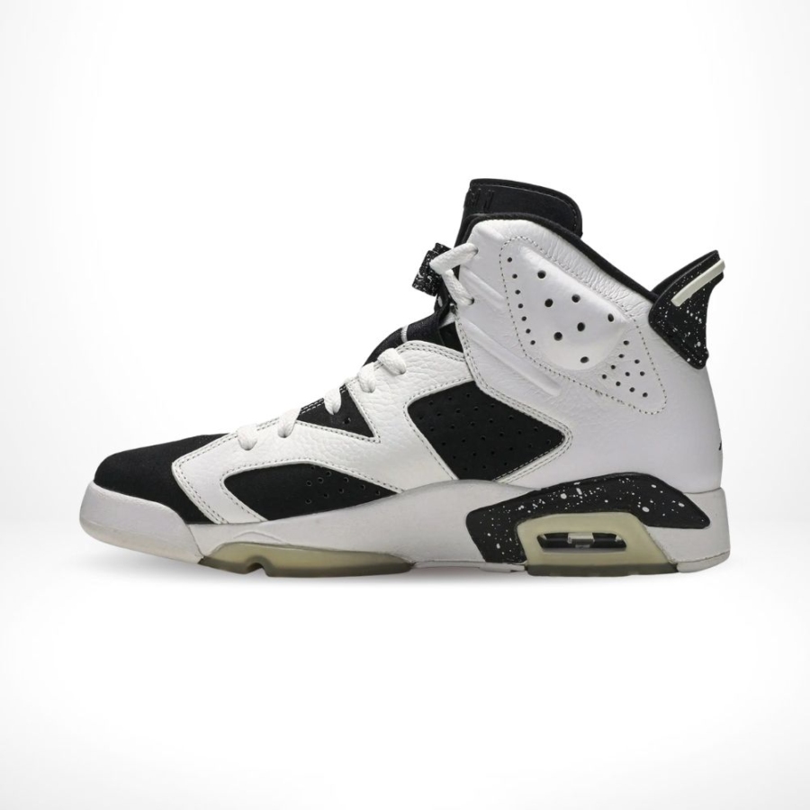 Medial side view of the Air Jordan 6
