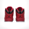 Rear view of the Air Jordan 10
