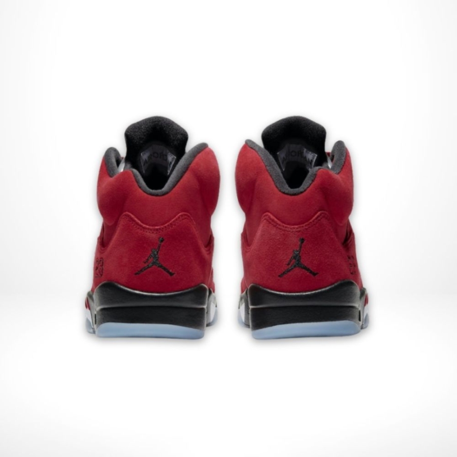 Rear view of Air Jordan 5