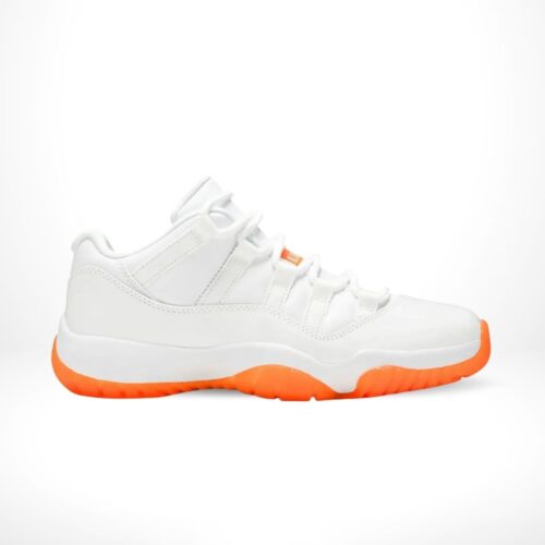 Air Jordan 11