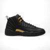 Air Jordan 12