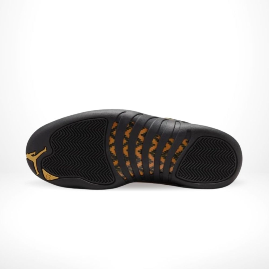 Bottom sole of Air Jordan 12