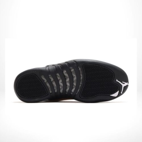 Bottom sole of Air Jordan 12