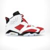 Air Jordan 6