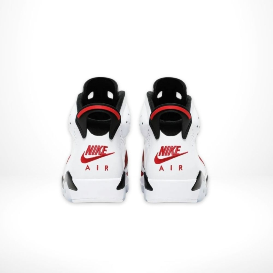 Rear view of Air Jordan 6