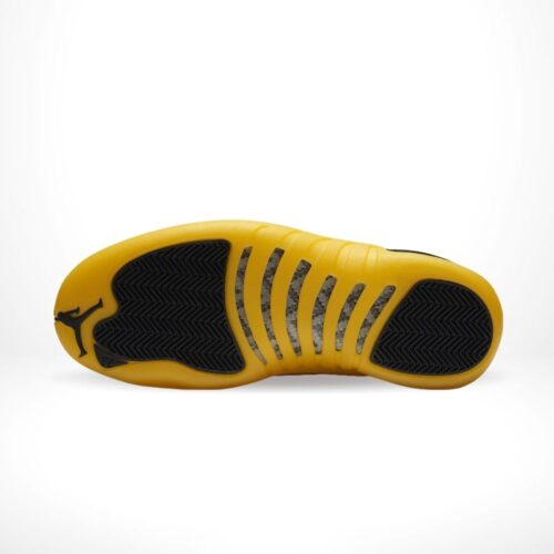 Bottom sole of Air Jordan 12