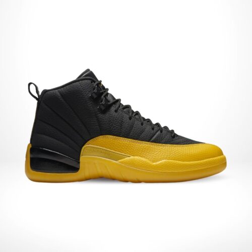 Air Jordan 12
