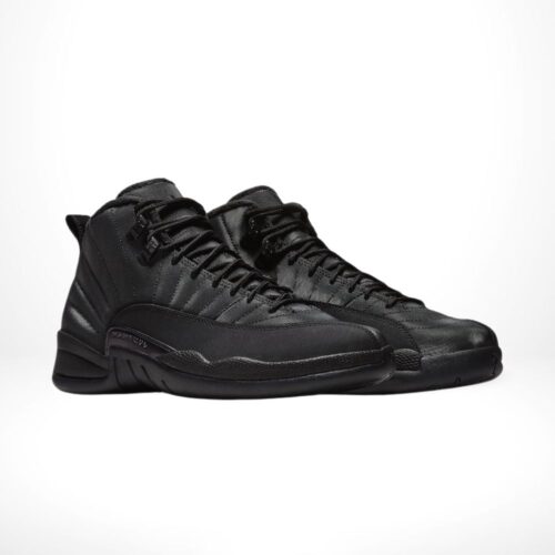 Angle view of Air Jordan 12