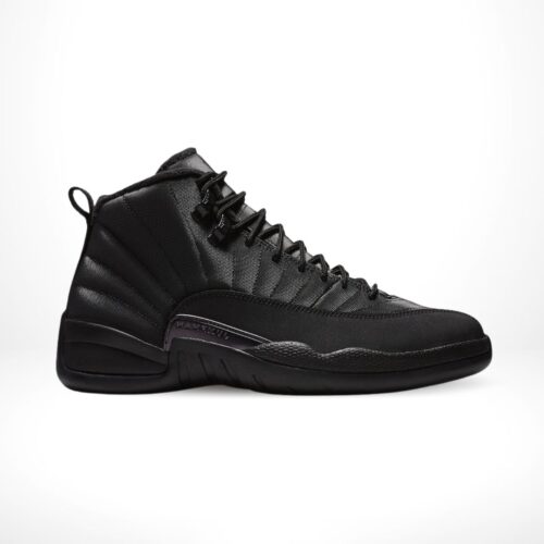 Air Jordan 12