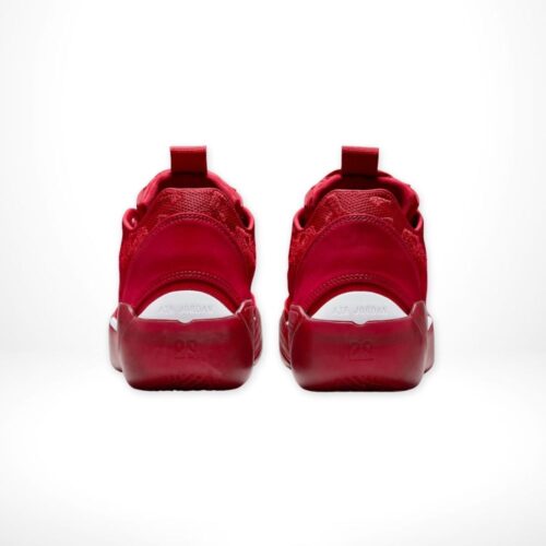 Rear view of Air Jordan 39