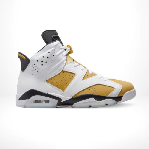 Air Jordan 6