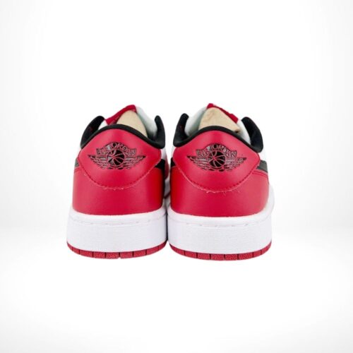 Rear view of AJ1