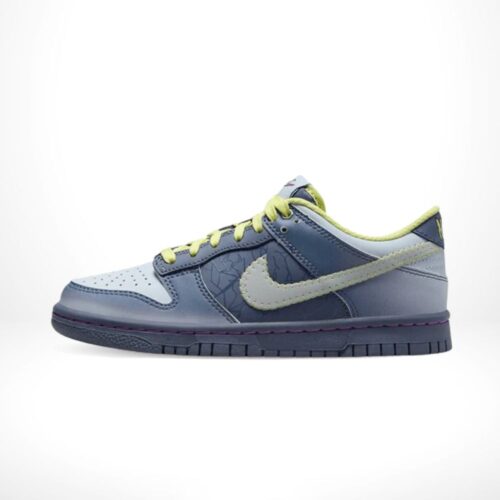 Medial side view of the Air Nike Dunk Low