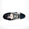 Top-down view of the Nike SB Dunk Low