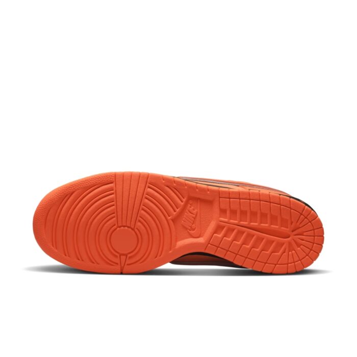 NIKE SB DUNK LOW CONCEPTS ORANGE LOBSTER FD8776 800 - Image 6