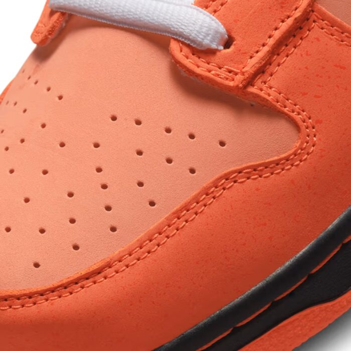 NIKE SB DUNK LOW CONCEPTS ORANGE LOBSTER FD8776 800 - Image 7