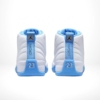 Rear view of the Air Jordan 12