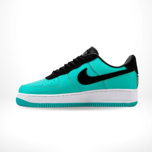 Medial side view of the Air Force 1