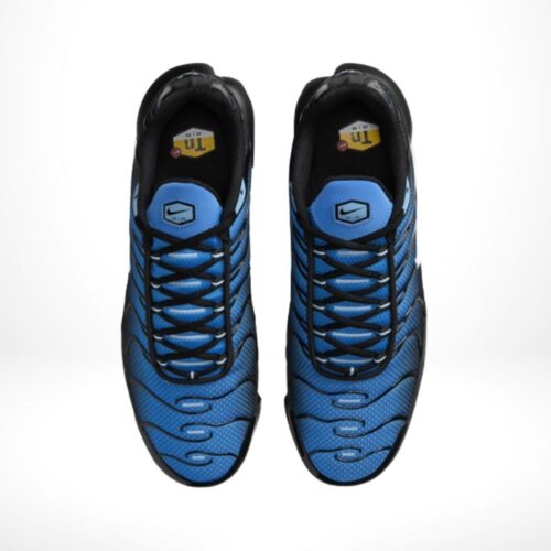 Top-down view of the Air Max