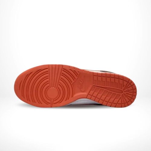 Bottom view of the Air Nike Dunk Low
