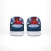 Rear view of the Nike SB Dunk Low