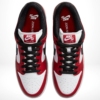 Top-down view of the Nike SB Dunk Low