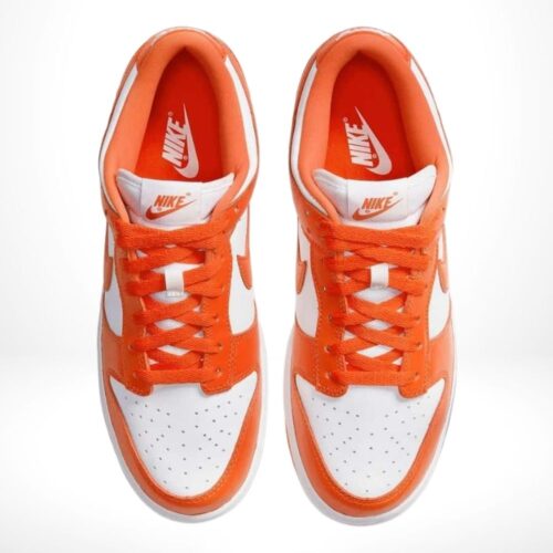 Top-down view of the Air Nike Dunk Low