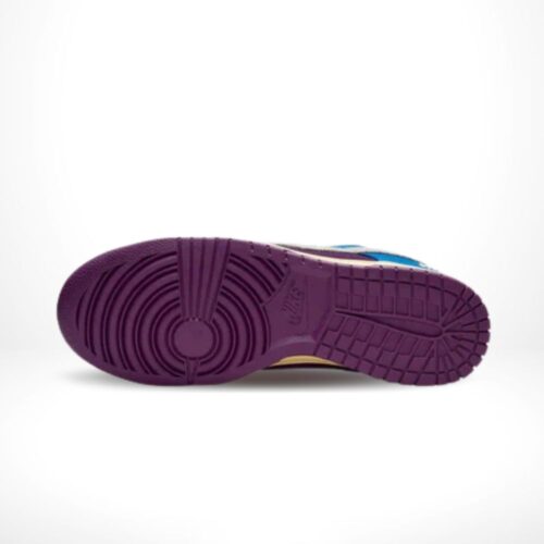 Bottom view of the Air Nike Dunk Low