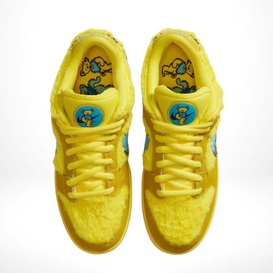 Top-down view of the Nike SB Dunk Low
