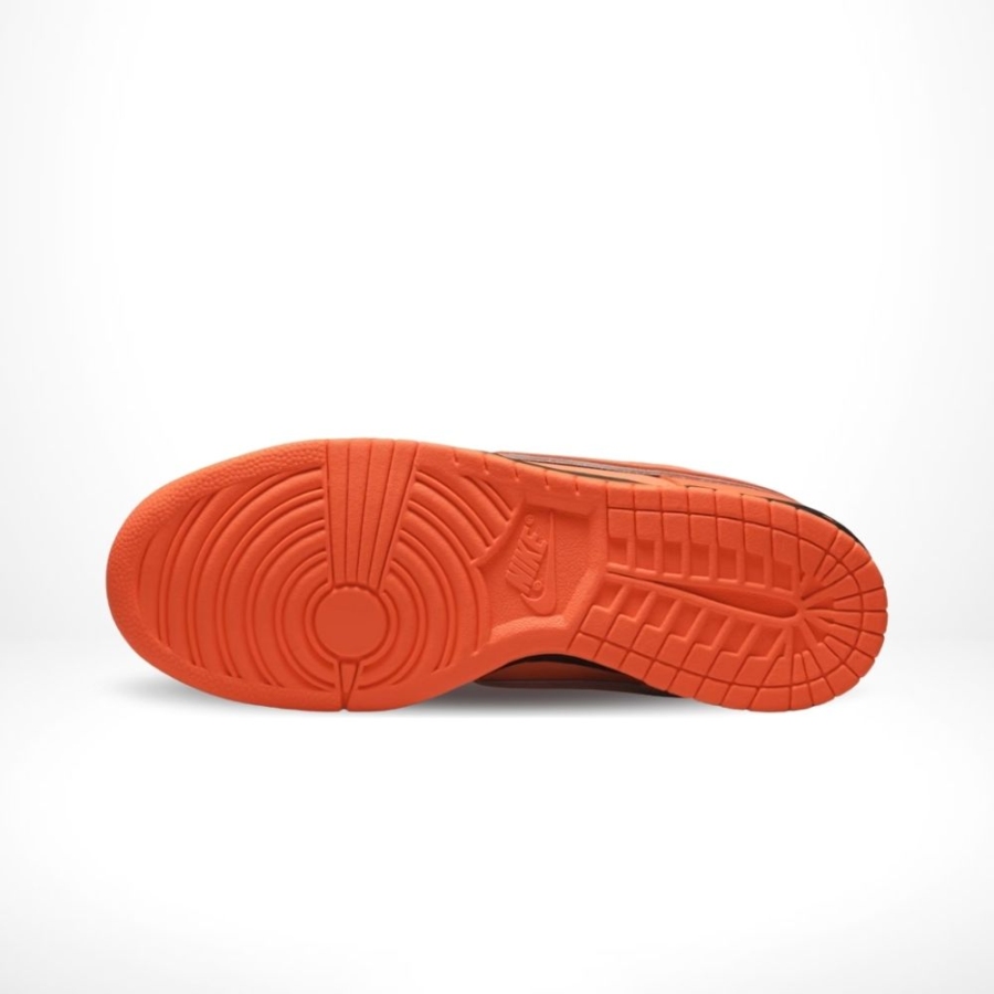 Bottom view of the Nike SB Dunk Low