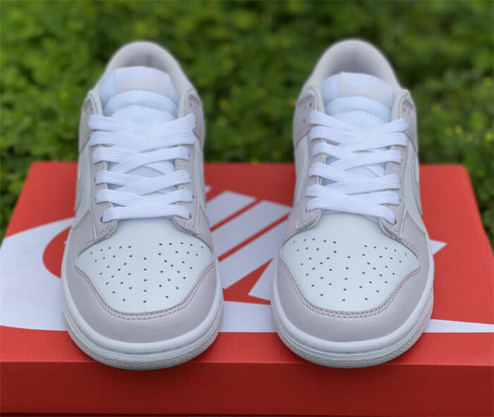 Dunk Low Venice Shoes Sneakers – nk0001982 - Image 4