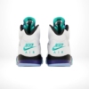 Rear view of the Air Jordan 5