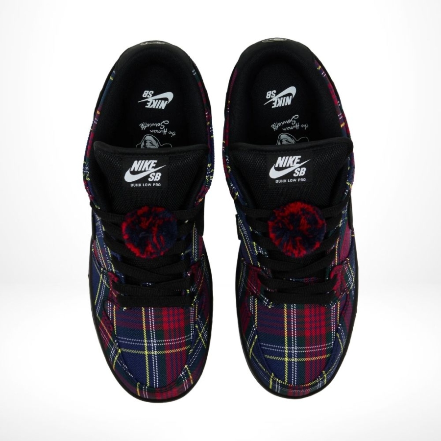 Top-down view of the Nike SB Dunk Low